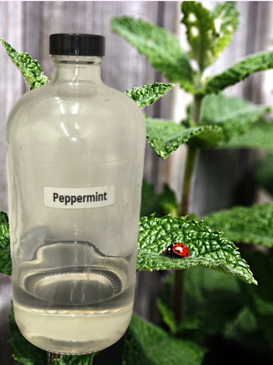Ladybug Mint Essence